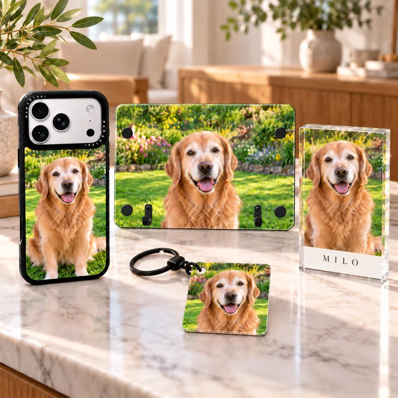 Dog Owner’s Edition — Complete